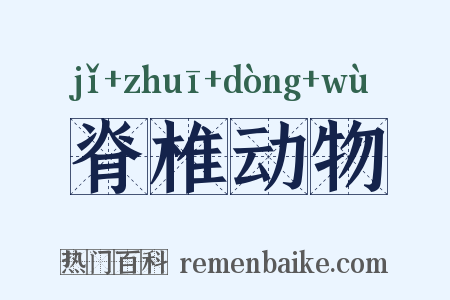 脊椎动物是什么意思的图片